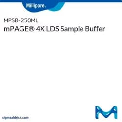 MilliporeSigma mPAGE™ 4X LDS Sample Buffer